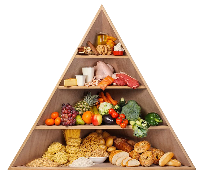 tstudiolab-nutrizione-fitness-benessere-dieta-studio-min